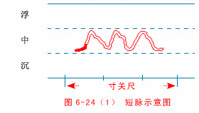 读经典学中医:《难经》白话解密第四难-把脉分阴阳 读经典学中医:《难经》白话解密第四难-把脉分阴阳