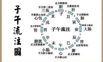 人体十二经络图动态图解和子午流注时钟