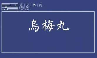 宋柏杉:对着张阿姨的病情看,你就会用乌梅丸了